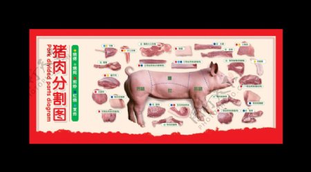 猪肉分割图220x100cm