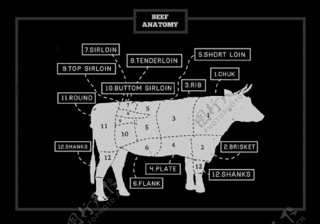 牛排分布图