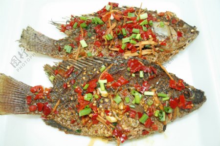 国内美食辣椒鱼图片
