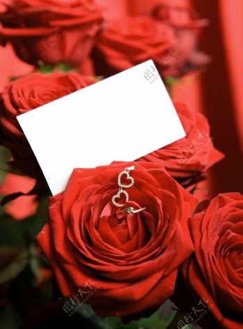 情人节玫瑰花与卡片