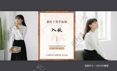 2016淘宝秋季简约文艺女装海报