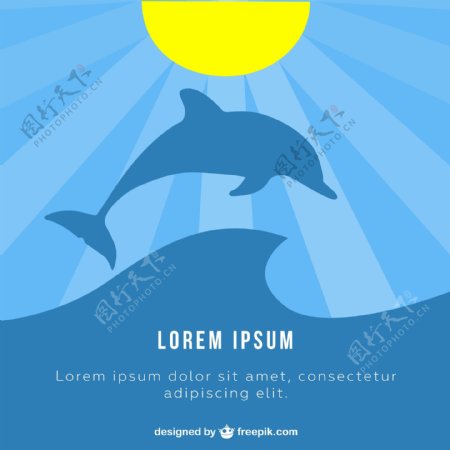 蓝海豚和阳光