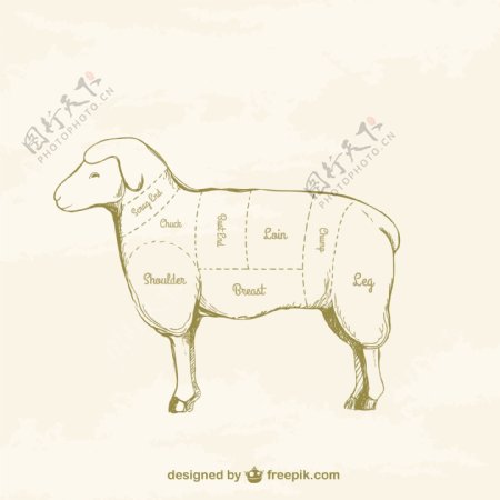 羊肉图