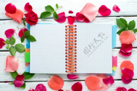 笔记本与玫瑰花瓣图片