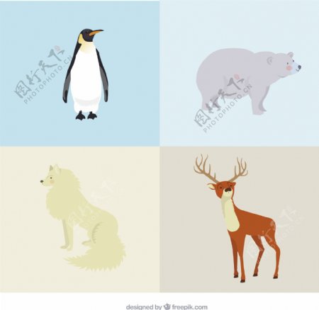 北极动物的种类