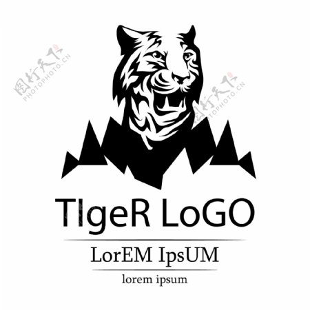 老虎头部logo
