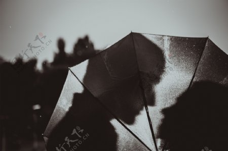 雨伞的情人图片