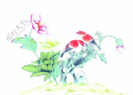 花卉植物与两只鸟图片