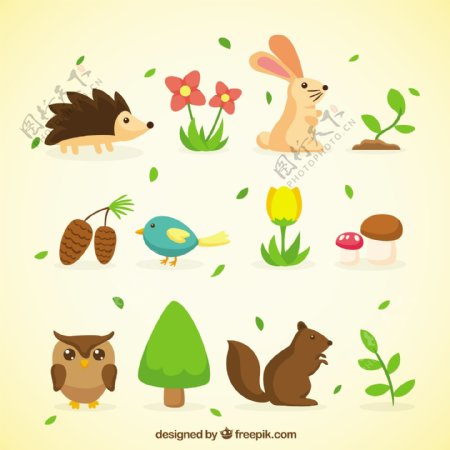 春季动物与自然收藏