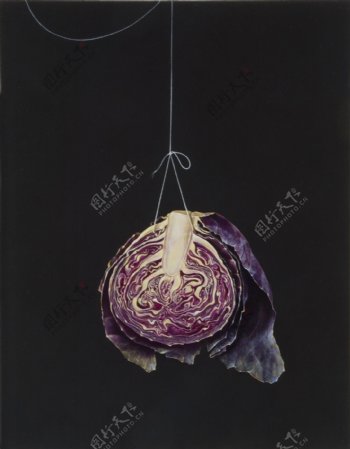 紫色包菜油画图片