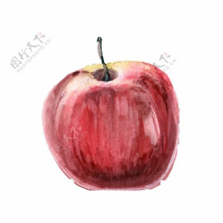 彩绘苹果素材