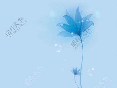 梦幻蓝色花卉背景墙