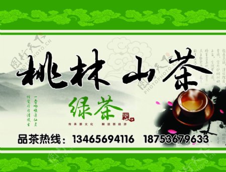 桃林山茶绿茶品茶