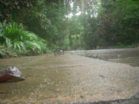 雨后的小路
