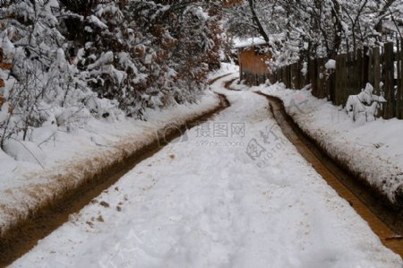 被雪覆盖的道路