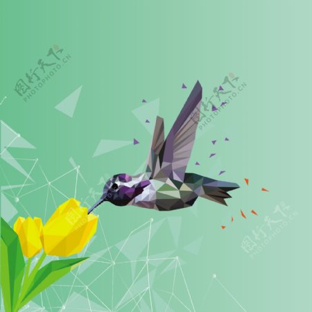 3D几何图形鸟与花背景图