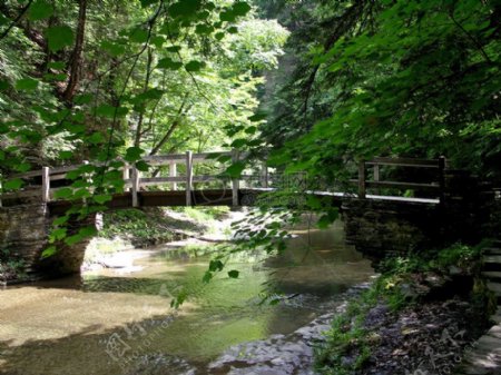 溪水下的木桥