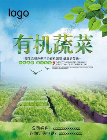 有机蔬菜海报1