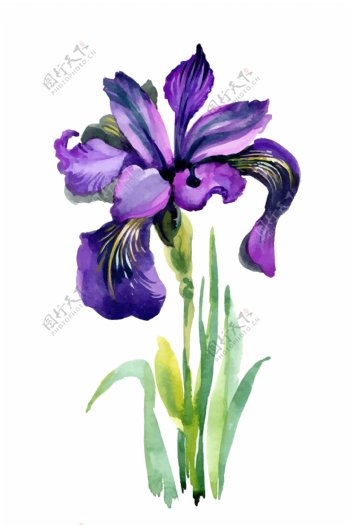 紫色花朵水彩手绘矢量文件