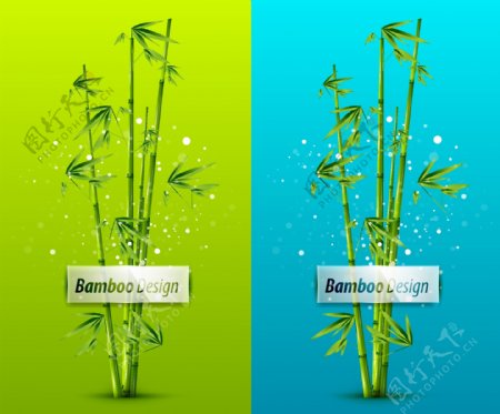 绿色竹子插画