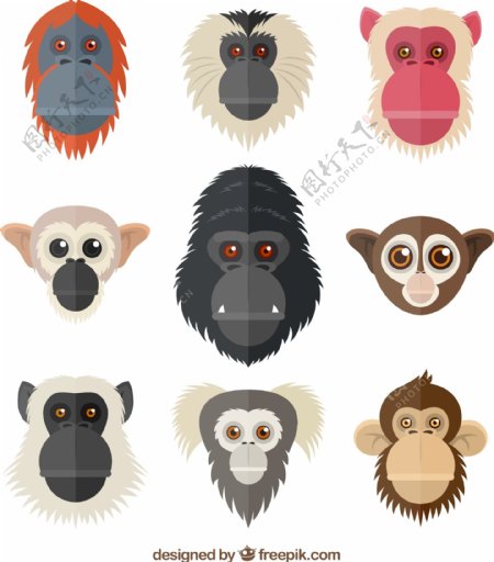 9款创意猴子头像矢量素材