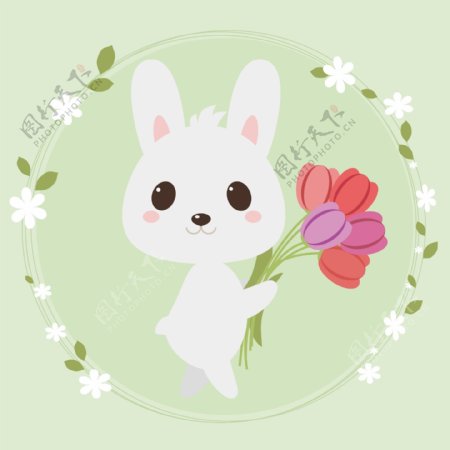 可爱兔子郁金香