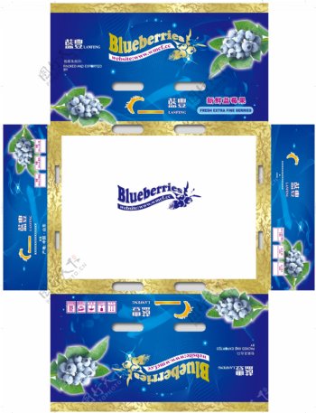 蓝莓礼盒包装图片模板下载
