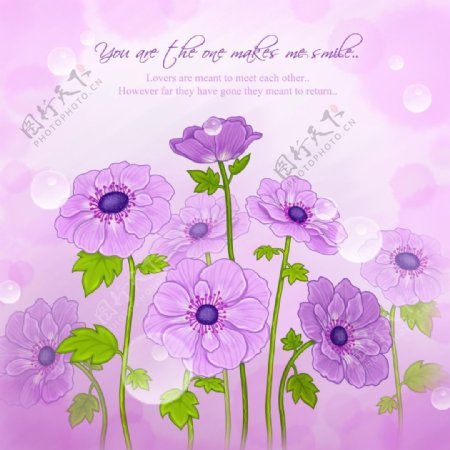 紫色浪漫的花朵