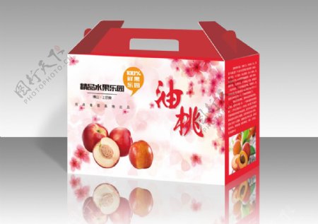 油桃油桃箱子水果包装箱