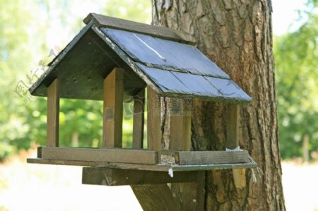 木制鸟屋