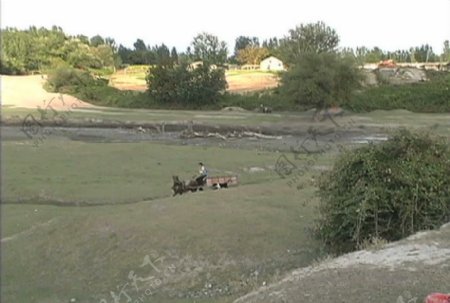阿塞拜疆的车和马和狗的股票视频视频免费下载