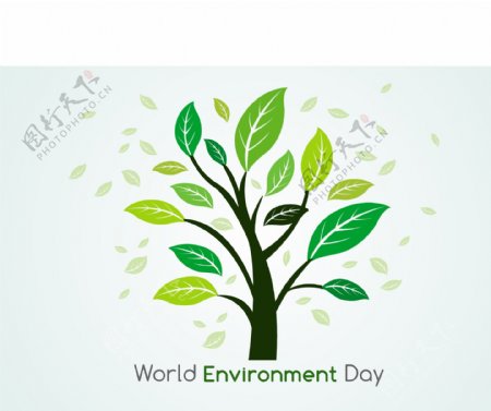 植物和树叶世界环境日