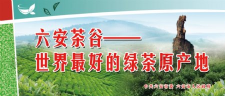 六安茶谷世界最好的绿茶原产地