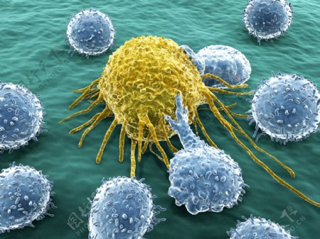 癌症细胞图片