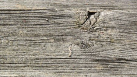 纹理清晰的木头
