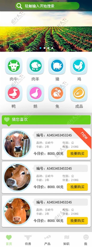 农业app首页