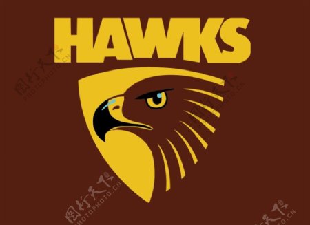 HAWKS老鹰头logo标志