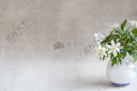 桌面上的小白花