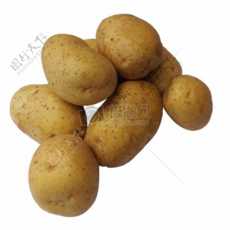 白色背景下的土豆