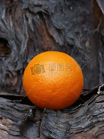 黑木头前的橙子