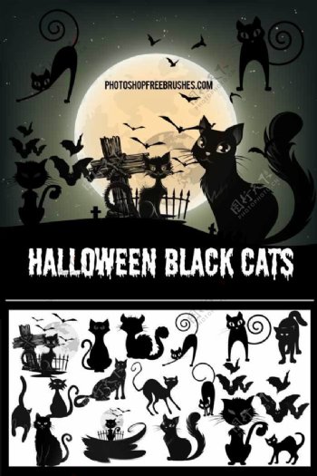 15种万圣节卡通黑猫PS笔刷下载