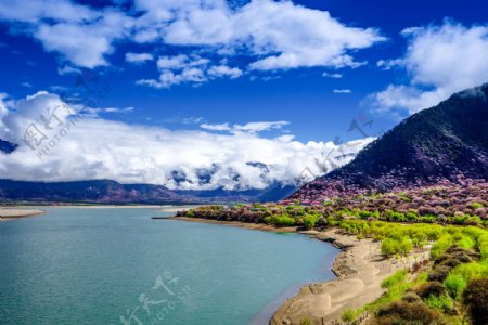 西藏雅鲁藏布大峡谷风景