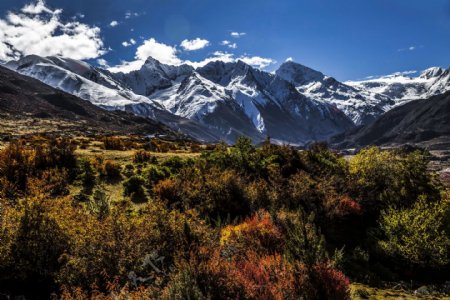西藏来古冰川风景