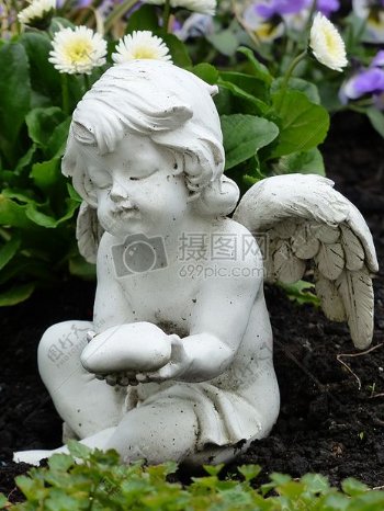花园里的白色天使