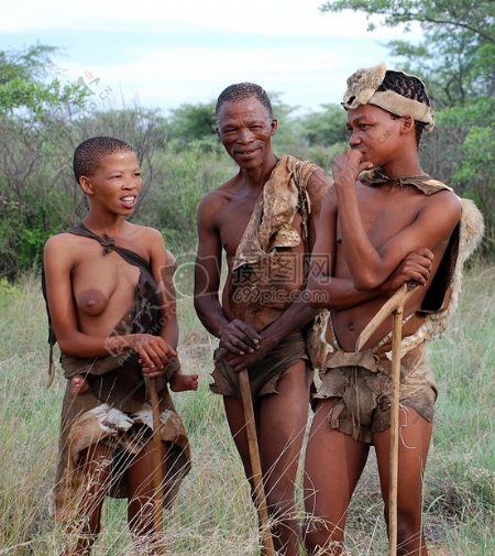 男人非洲黑色三种博茨瓦纳布须曼人土著人人猎人采集者圣