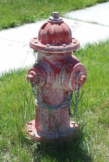 草地上的消防栓