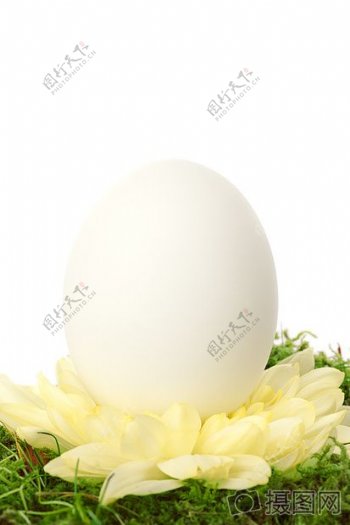 餐桌上的鸭蛋