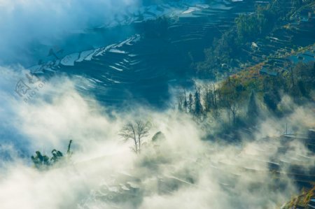 云南元阳梯田风景