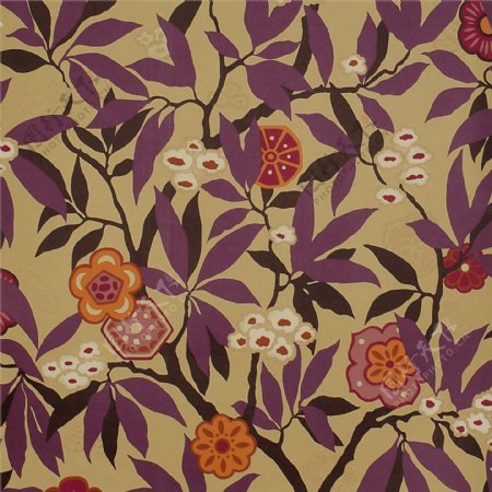 紫色树枝花朵图案壁纸