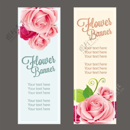 玫瑰花朵矢量卡片素材